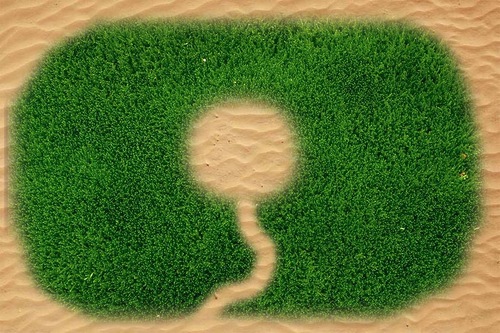 ca27e0f0d232208c39523d8f3d54f599