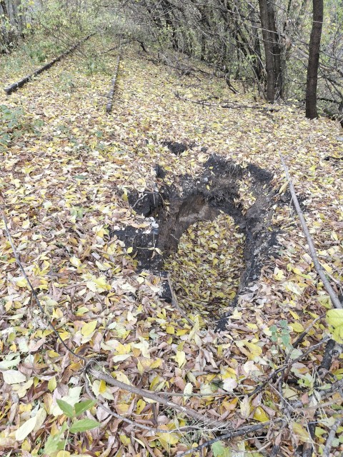 IMG_20251016_115616_947