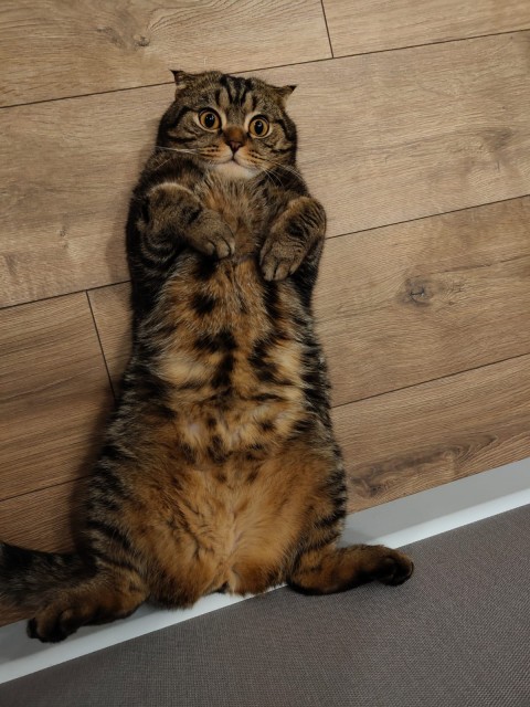 WhatsApp Image 2025-10-17 at 20.12.56