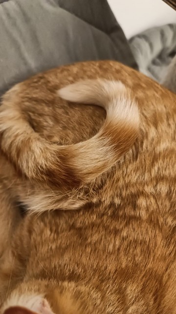 WhatsApp 2025-10-09 в 19.01.02_9eb2eda2