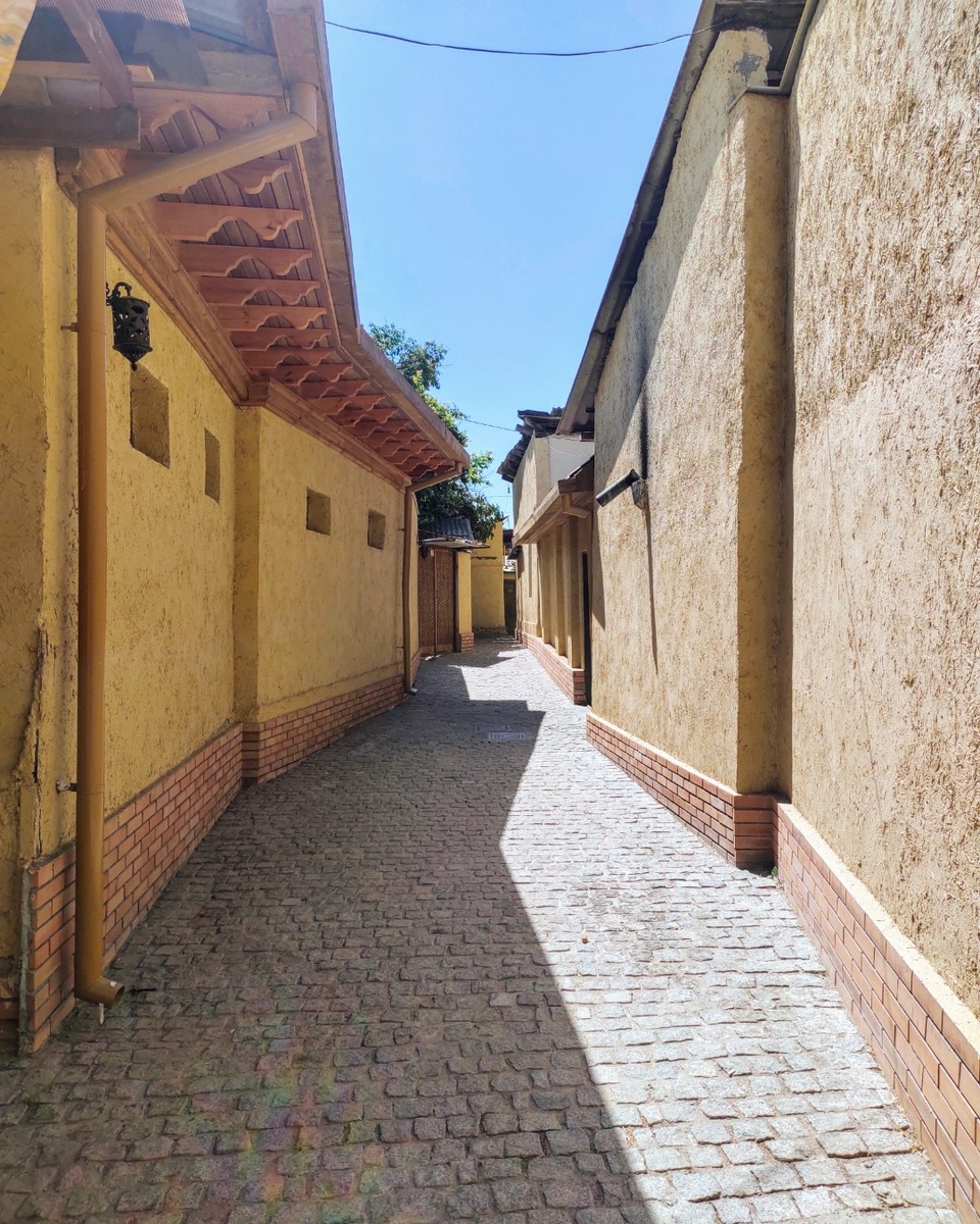 scale_1200 (1)