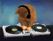 кот диджей