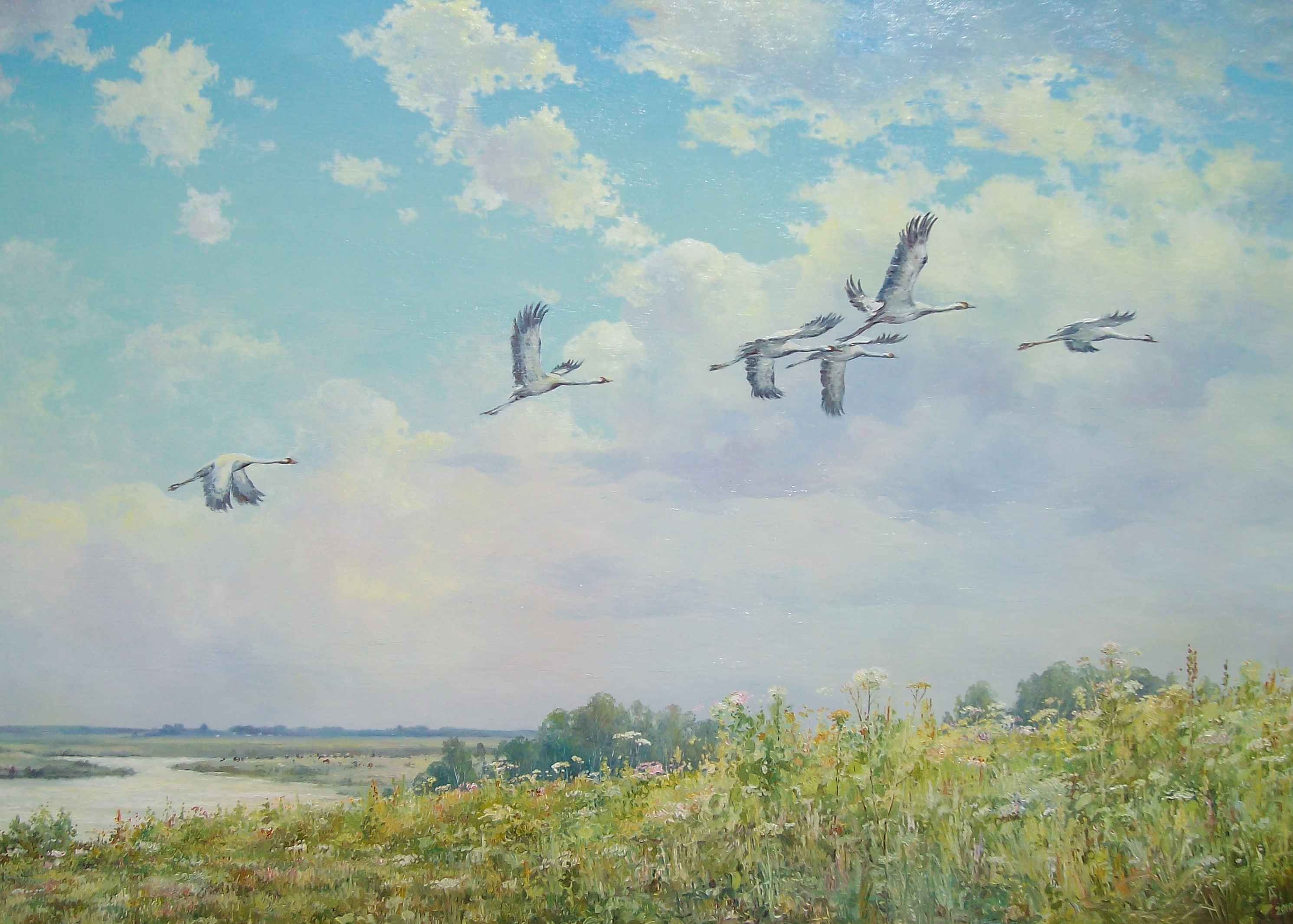 nad-rodnymi-prostorami