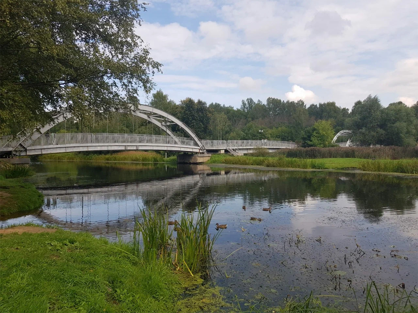 ea946720-860c-436a-92ab-77a7eed11f51