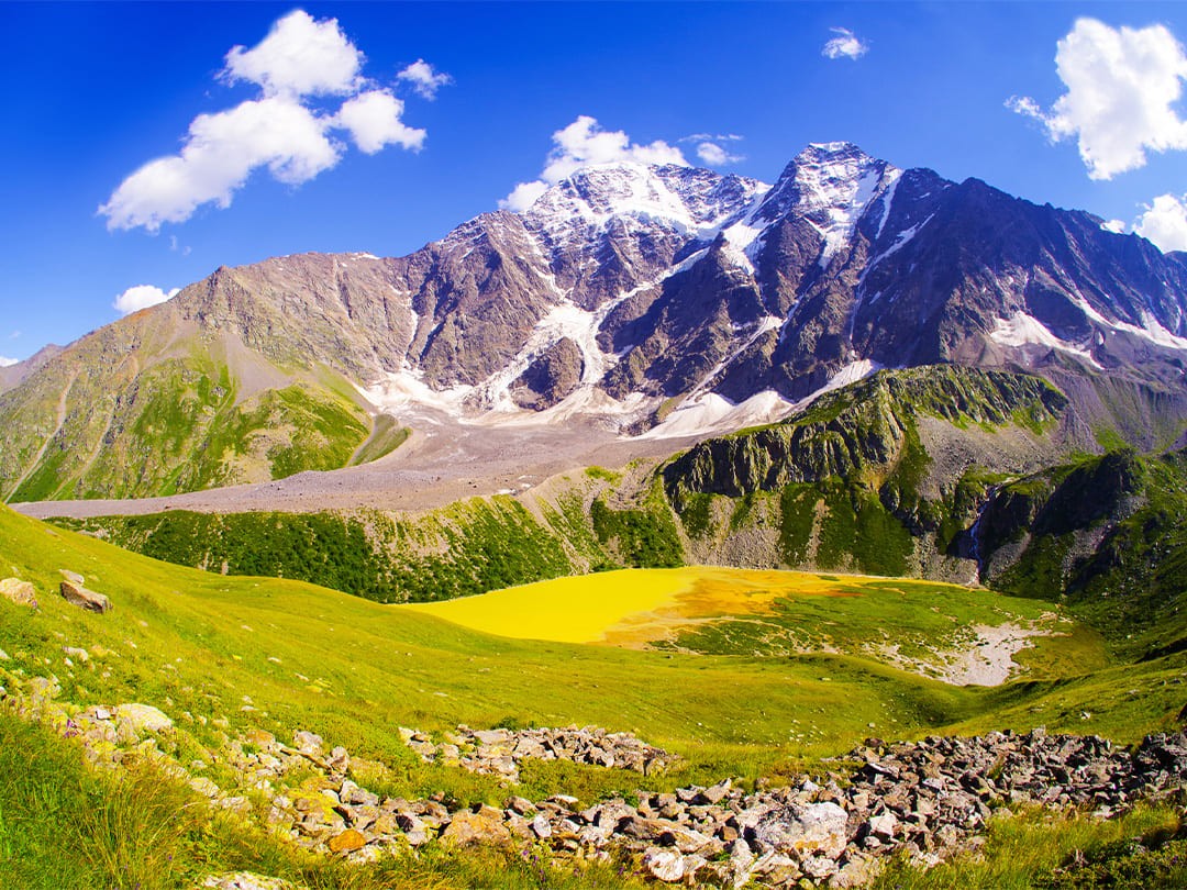 20e4b925-551c-4744-ba80-f86a6b69bf22