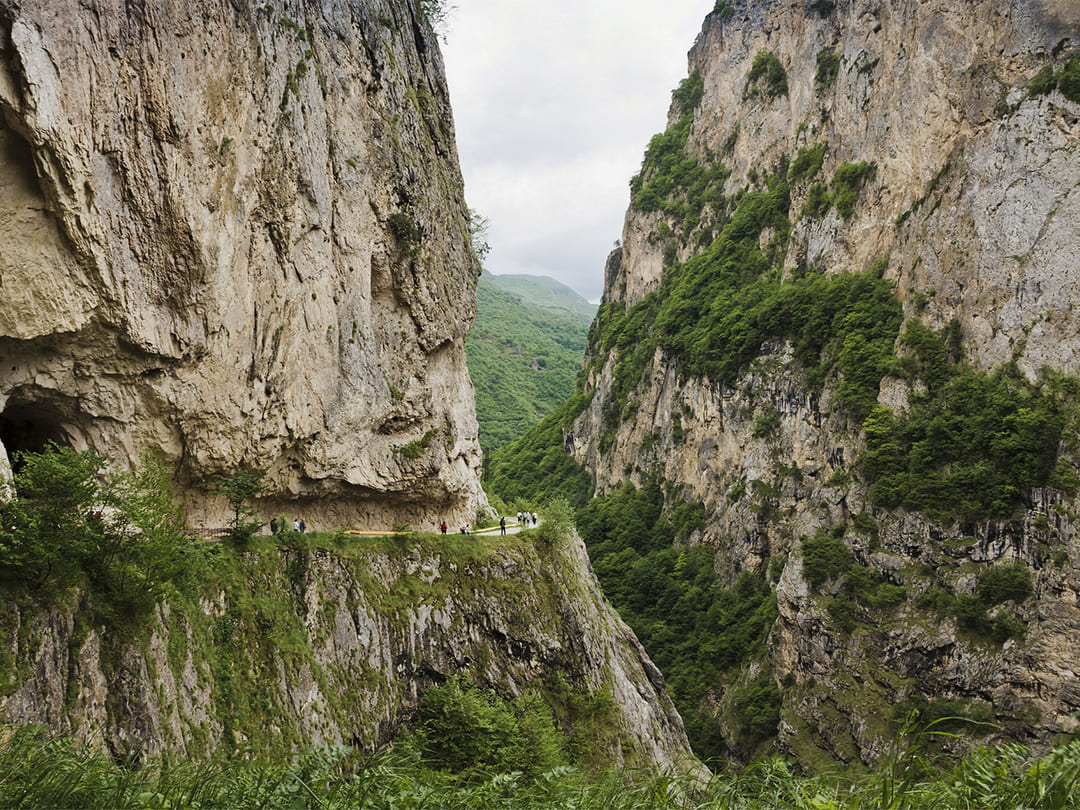 25245fbb-8bb6-4802-abd1-fbef3c96f4f2