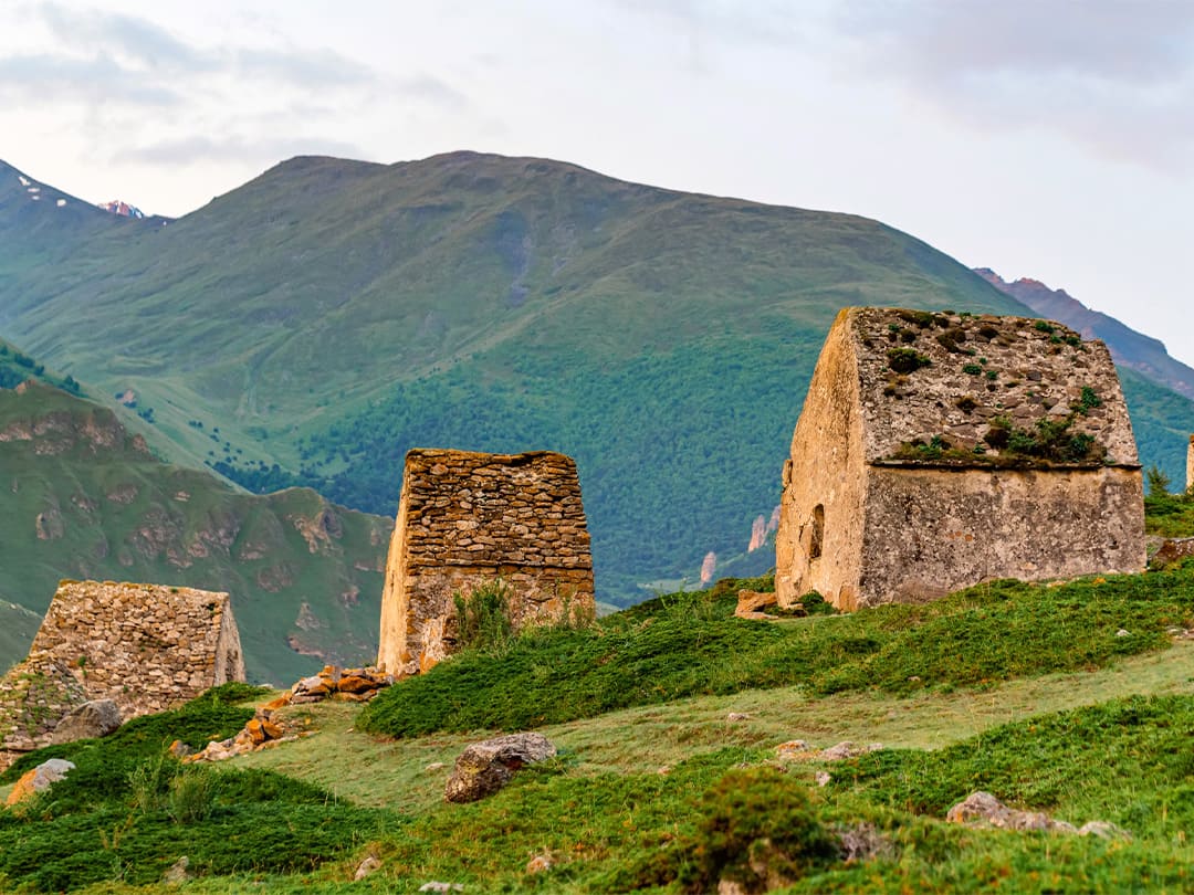 22df50ee-ff7e-427a-b141-52d2bb326df5