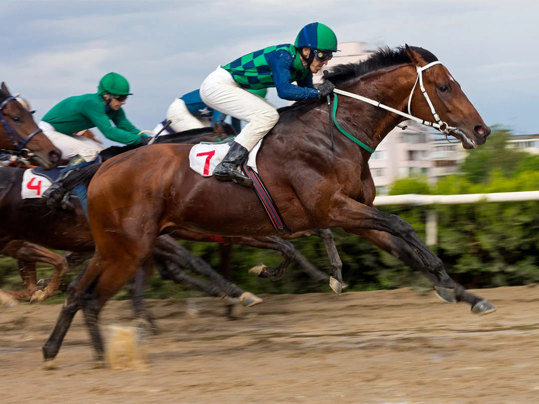 4f5c0e5c-124a-48d6-8d91-cc6cfc2f