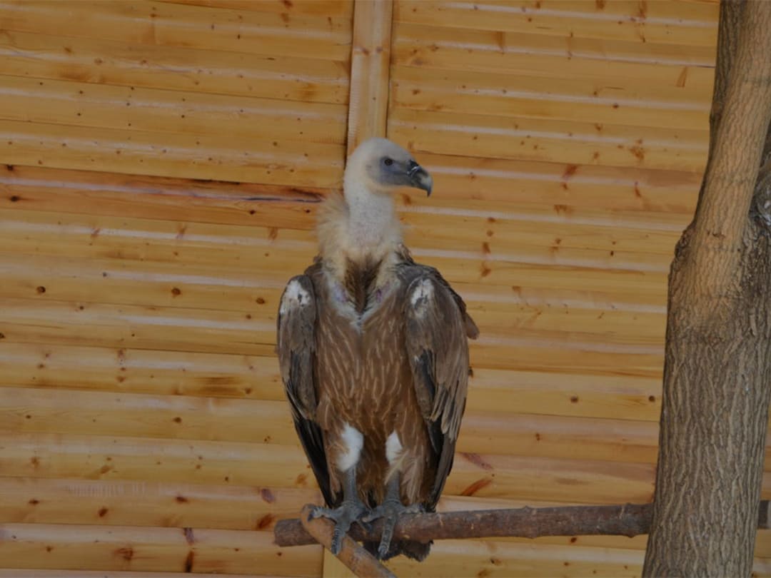 24dd14fb-8181-4eec-b14f-74410d9cc22a