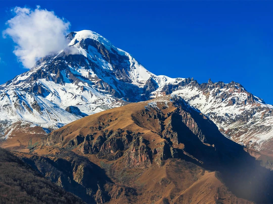 d9c4dc54-2c9e-4081-a680-06af9cb3