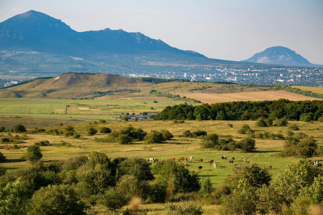 48843243-9b30-4fa3-8a4e-a94377f0