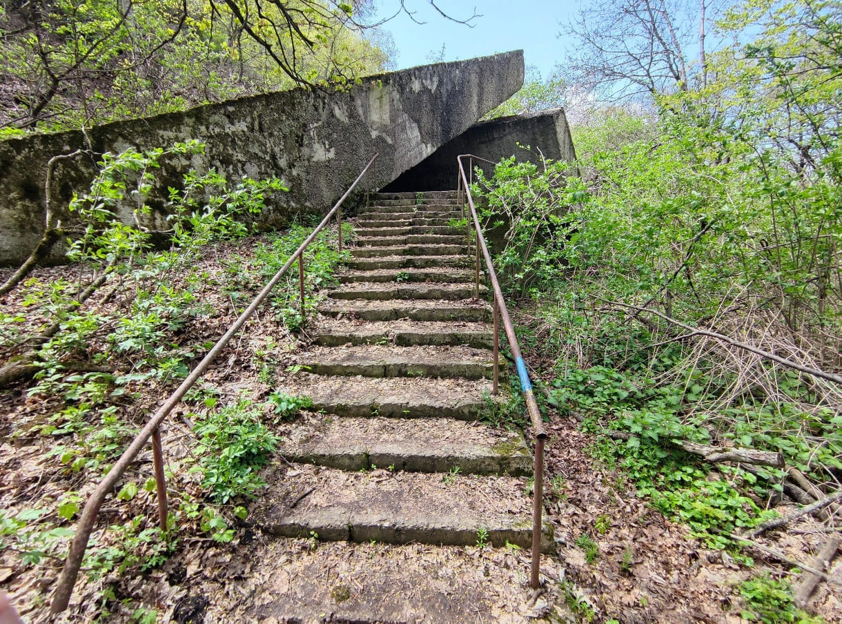 45fe296e-d286-47e8-b92c-d275db1244bc