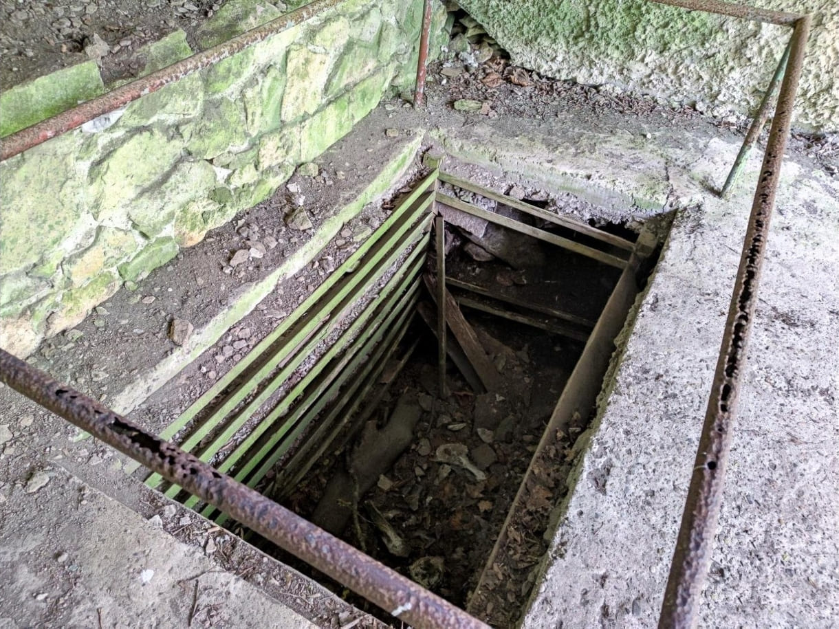 36857d75-6b54-4481-aeb8-0c311ccbc81a