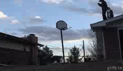 1251386194_rooftop-dunk