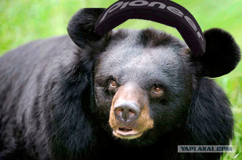 мишкоу
