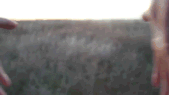 f4431834d9267342605c5f1d748ad9e1