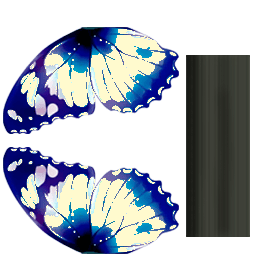 Batterfly_blue (3) (1)