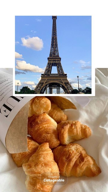 photo_2025-11-16_17-53-18 (2)