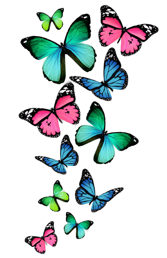 babochki-na-prozrachnom-fone