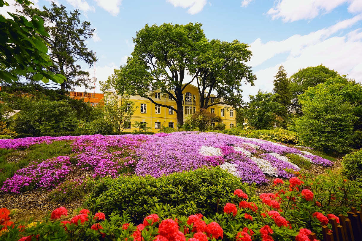 86309bb5-d4d4-4657-b0ea-b35417602050