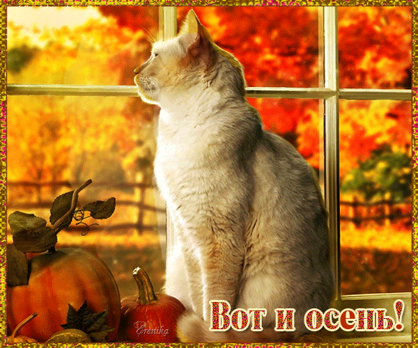 Вот и осень!