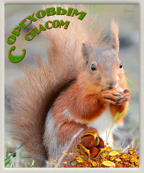 С ореховым спасом!