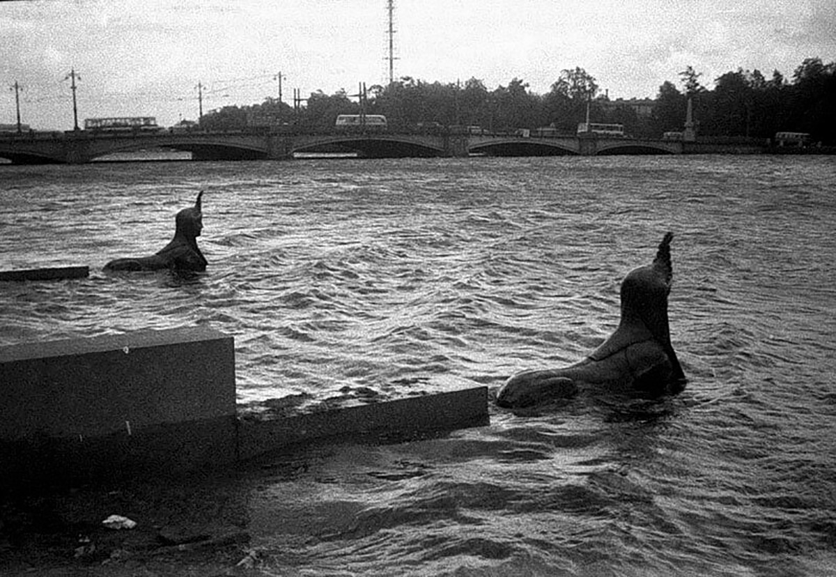 174da9f5-9954-4716-b445-35d719909387