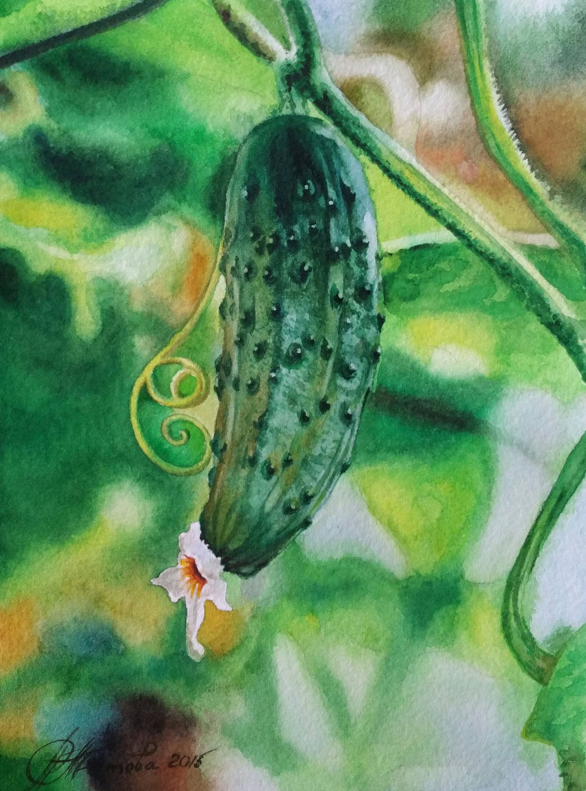 akvarel-zelenyj-ogurchik