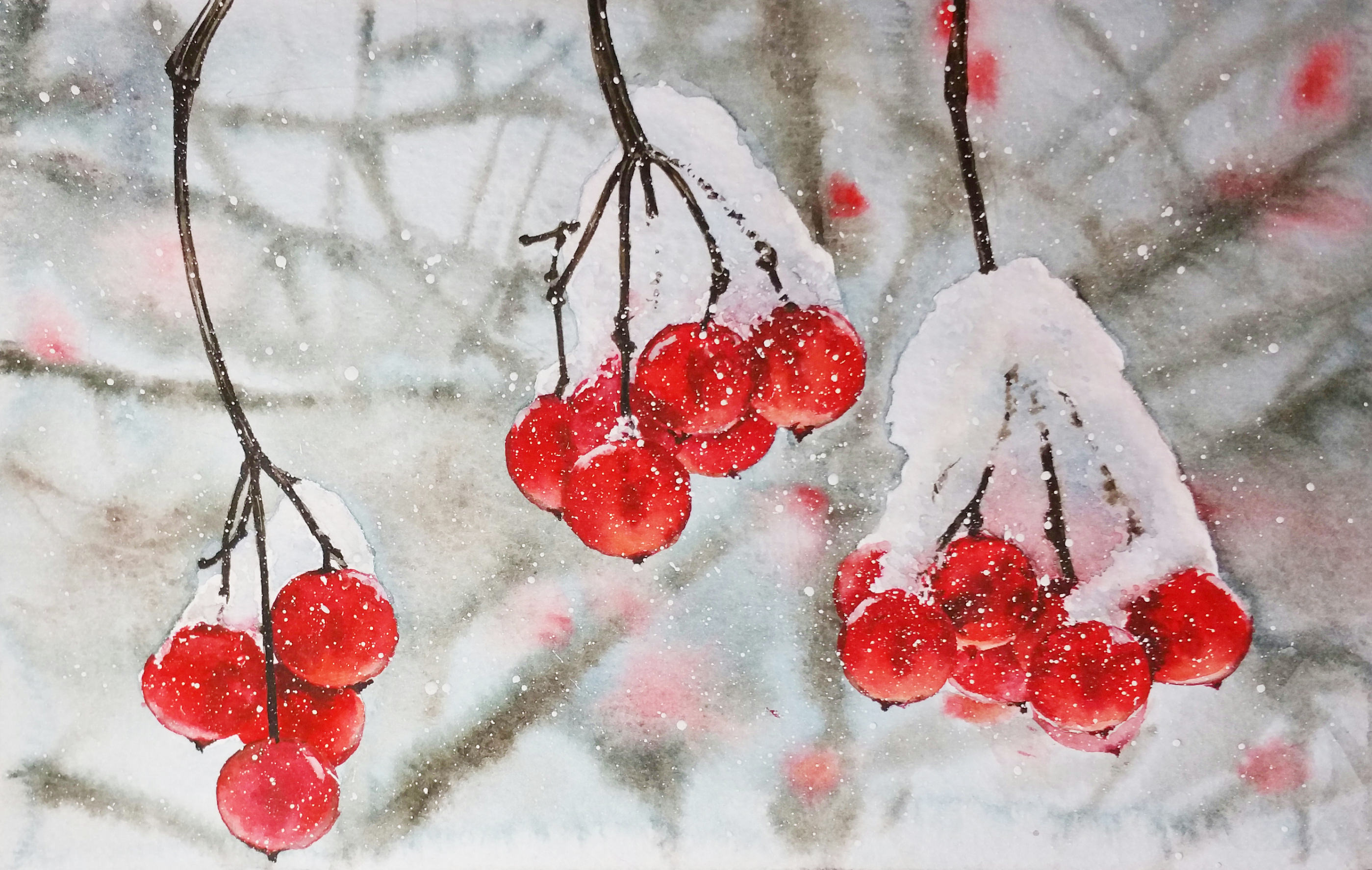 akvarelnaya-zarisovka-kalina-per