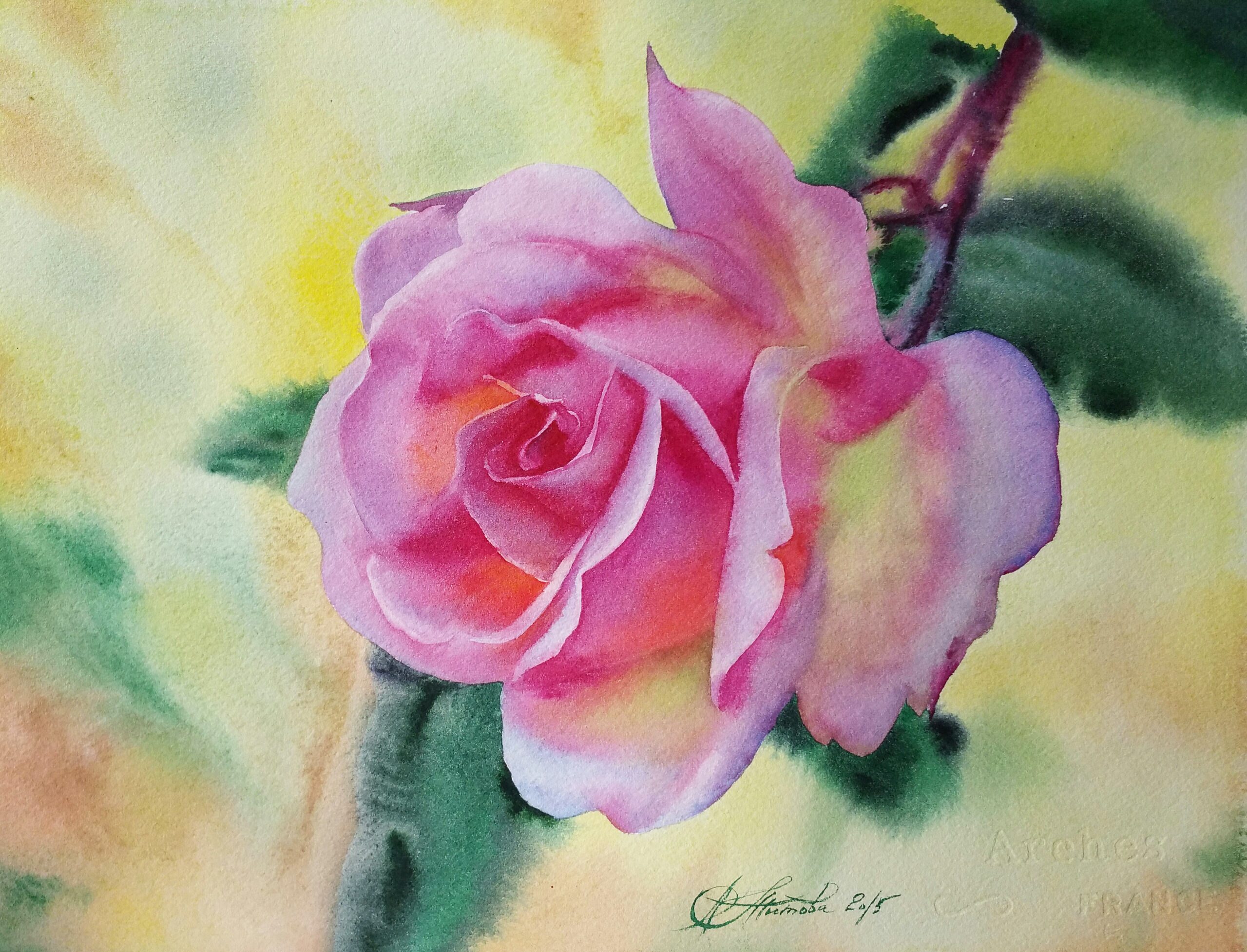 akvarel-skazochnaya-roza