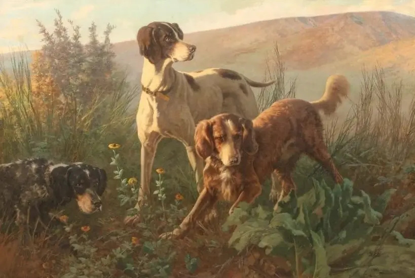 28edc5cf-2afd-4112-976e-29c0384f