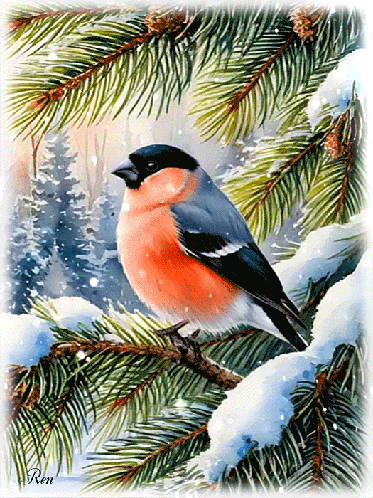 Доброго зимнего денечка