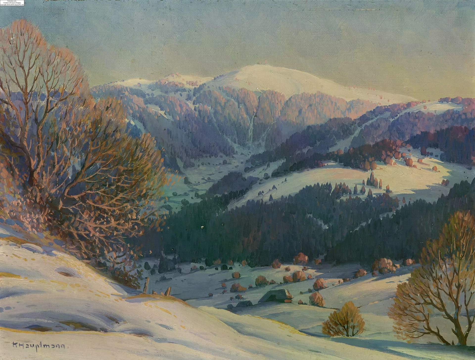 hauptmann--karl-LWXFZ