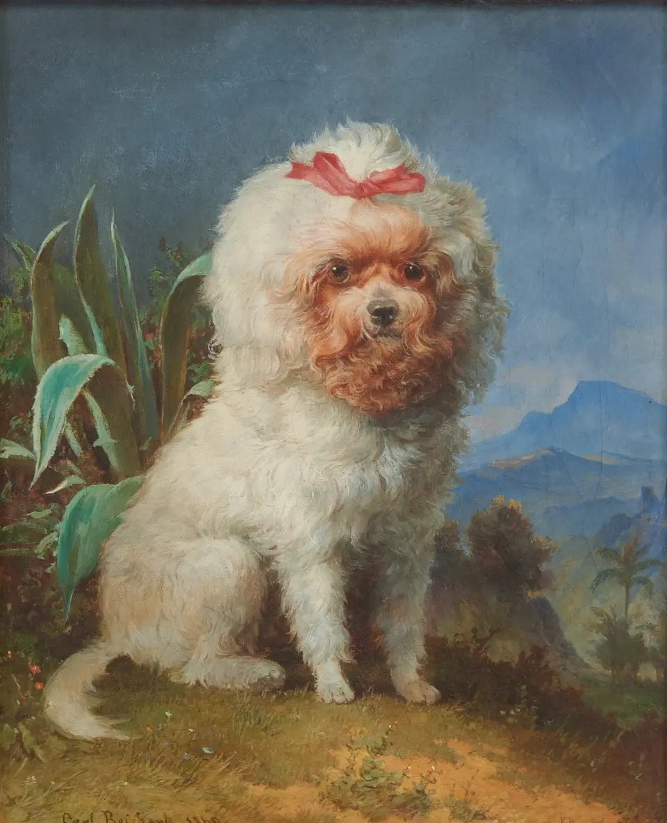 carl-reichert-carl-reichert--por