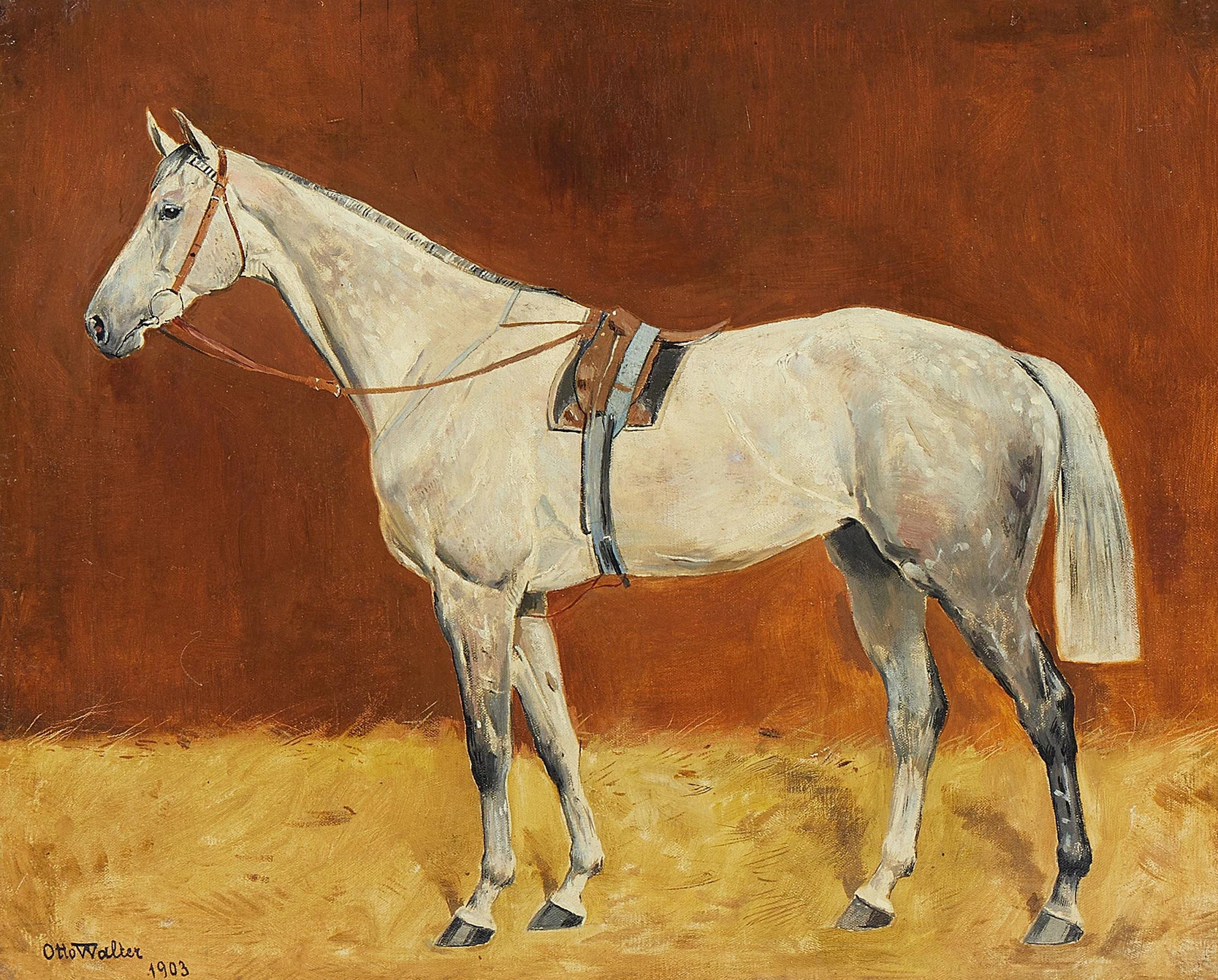 ottokar-walter-R819G