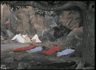 GIF_20251212_150959_460