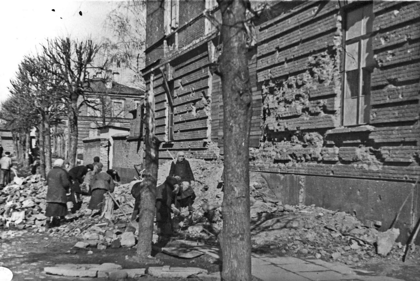 1e3db209-b92d-49a2-8dc8-09dd709cf864