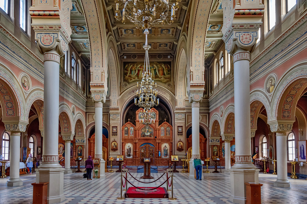 49116818017_364e7982b7_b