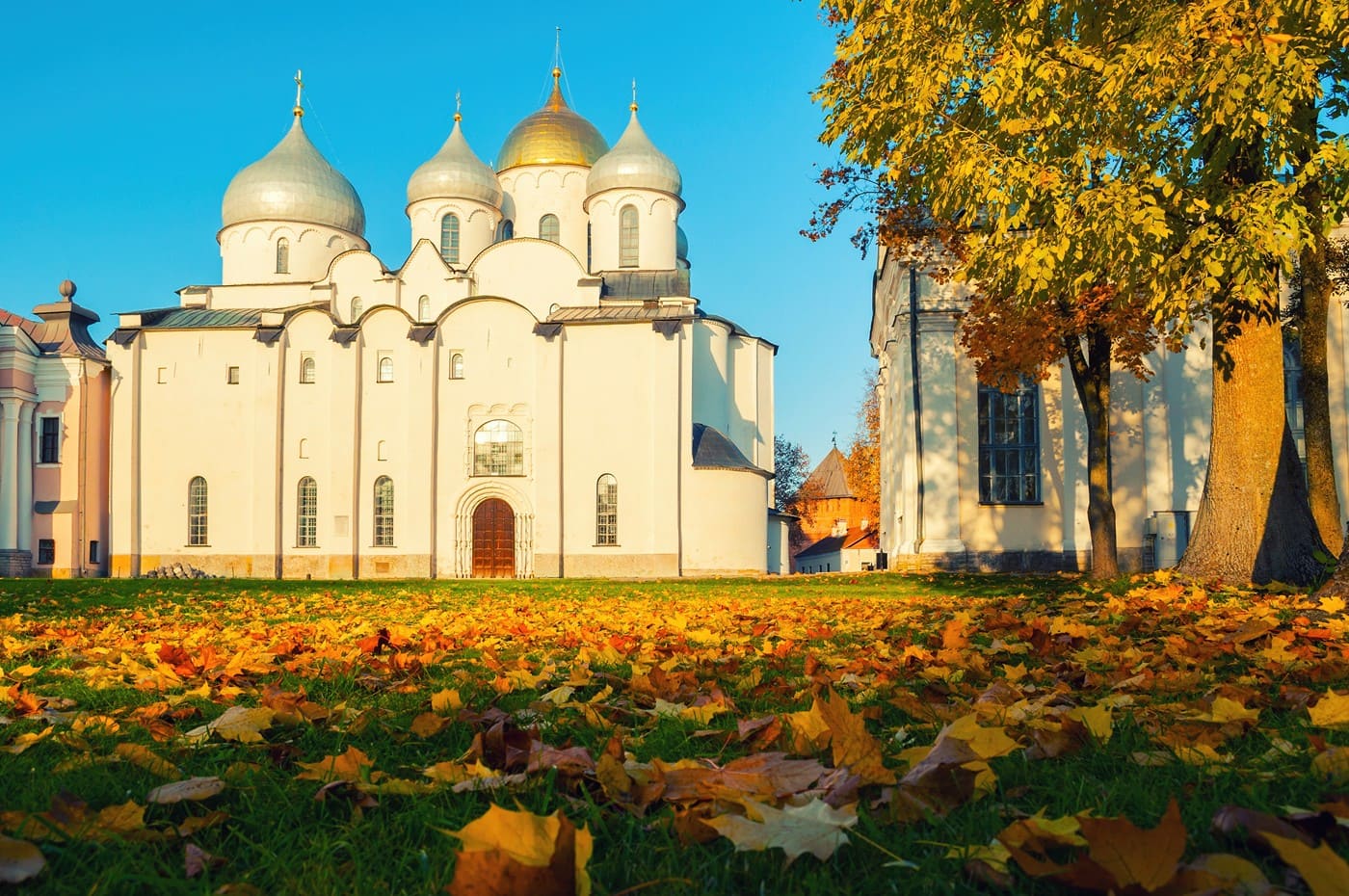 e80ee33b-d58c-40b3-9d46-d46d232c2765