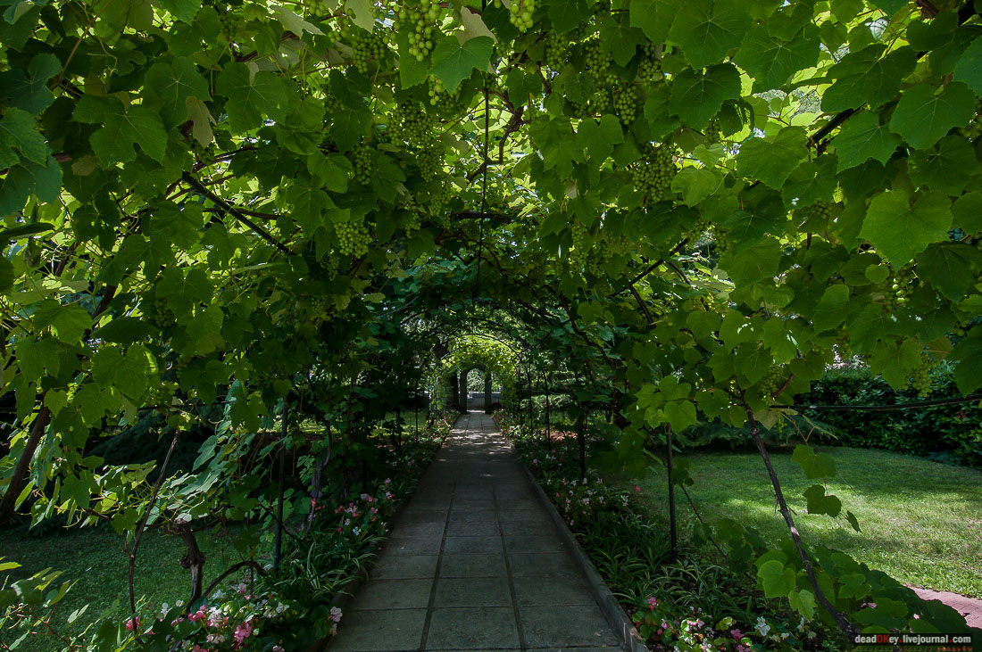 P2WlxyVijxKhhGpn98deWEMdsf-ah7h0yFmVCaBSlcXe_A6al8i_R0wpFEg4E0x_uVAahSjNdhNKC0EHhFco8kcDhzjWLfqU_VVG