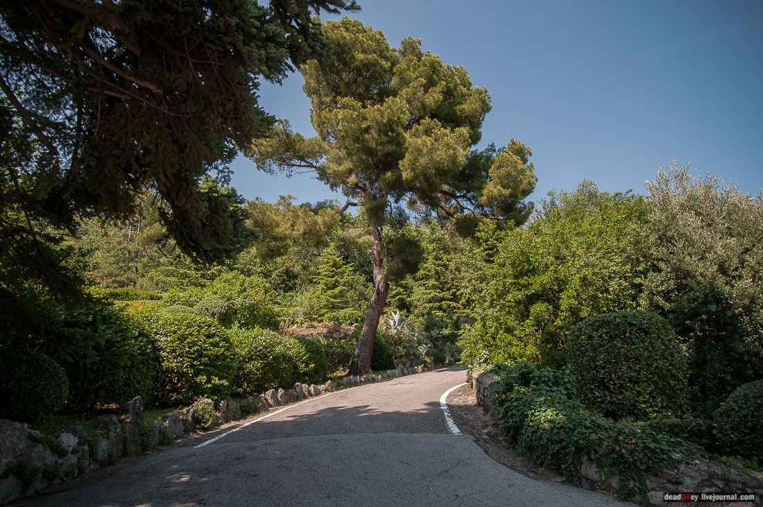 P2WlxyVijxKhhGpn98deWEMdsf-ah7h0yFmVCaBSlcXe_A6al8i_R0wpFEg4E0x_uVAahSjNdhNKC0EHhFco8kcDhzjWLfqU_VVG