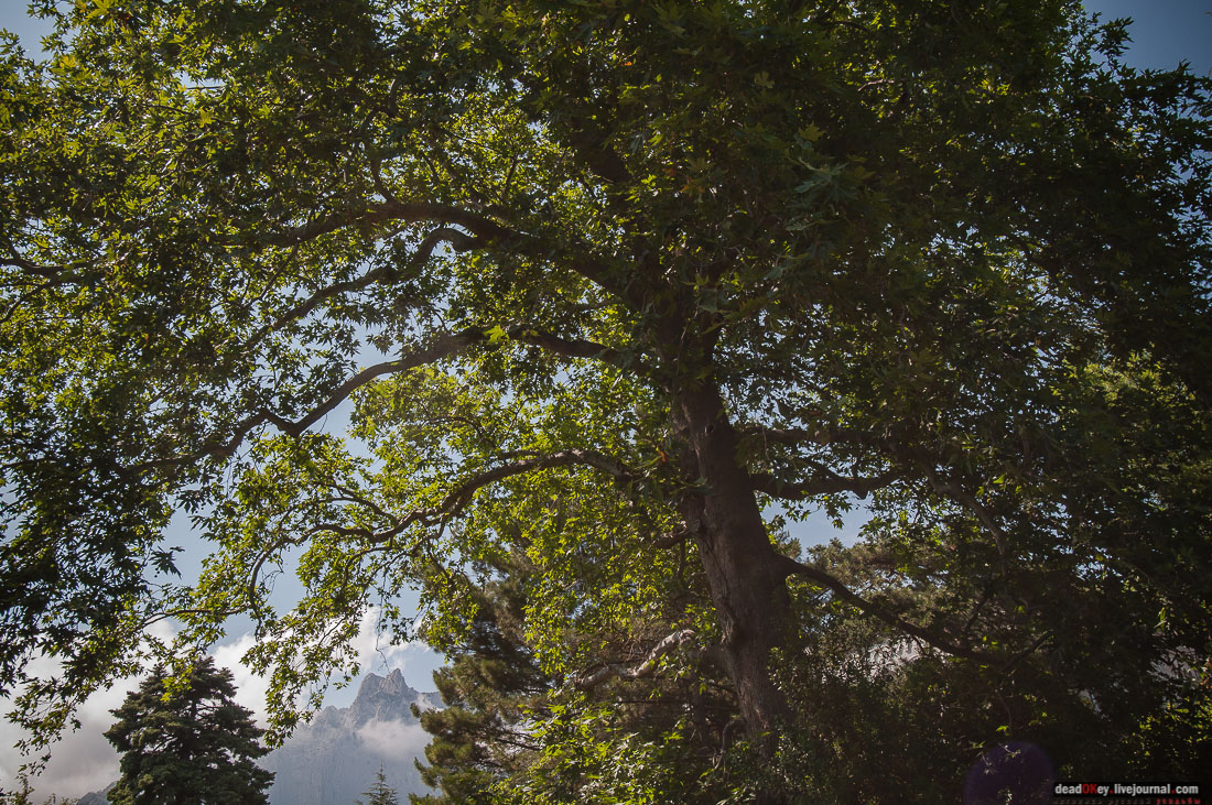 P2WlxyVijxKhhGpn98deWEMdsf-ah7h0yFmVCaBSlcXe_A6al8i_R0wpFEg4E0x_uVAahSjNdhNKC0EHhFco8kcDhzjWLfqU_VVG