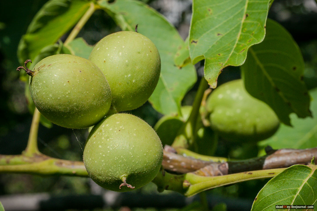 P2WlxyVijxKhhGpn98deWEMdsf-ah7h0yFmVCaBSlcXe_A6al8i_R0wpFEg4E0x_uVAahSjNdhNKC0EHhFco8kcDhzjWLfqU_VVG