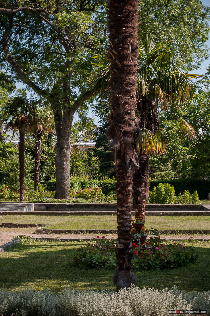 P2WlxyVijxKhhGpn98deWEMdsf-ah7h0yFmVCaBSlcXe_A6al8i_R0wpFEg4E0x_uVAahSjNdhNKC0EHhFco8kcDhzjWLfqU_VVG