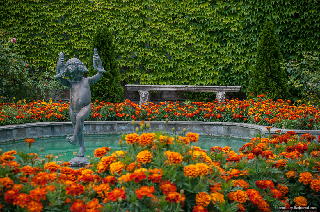 P2WlxyVijxKhhGpn98deWEMdsf-ah7h0yFmVCaBSlcXe_A6al8i_R0wpFEg4E0x_uVAahSjNdhNKC0EHhFco8kcDhzjWLfqU_VVG