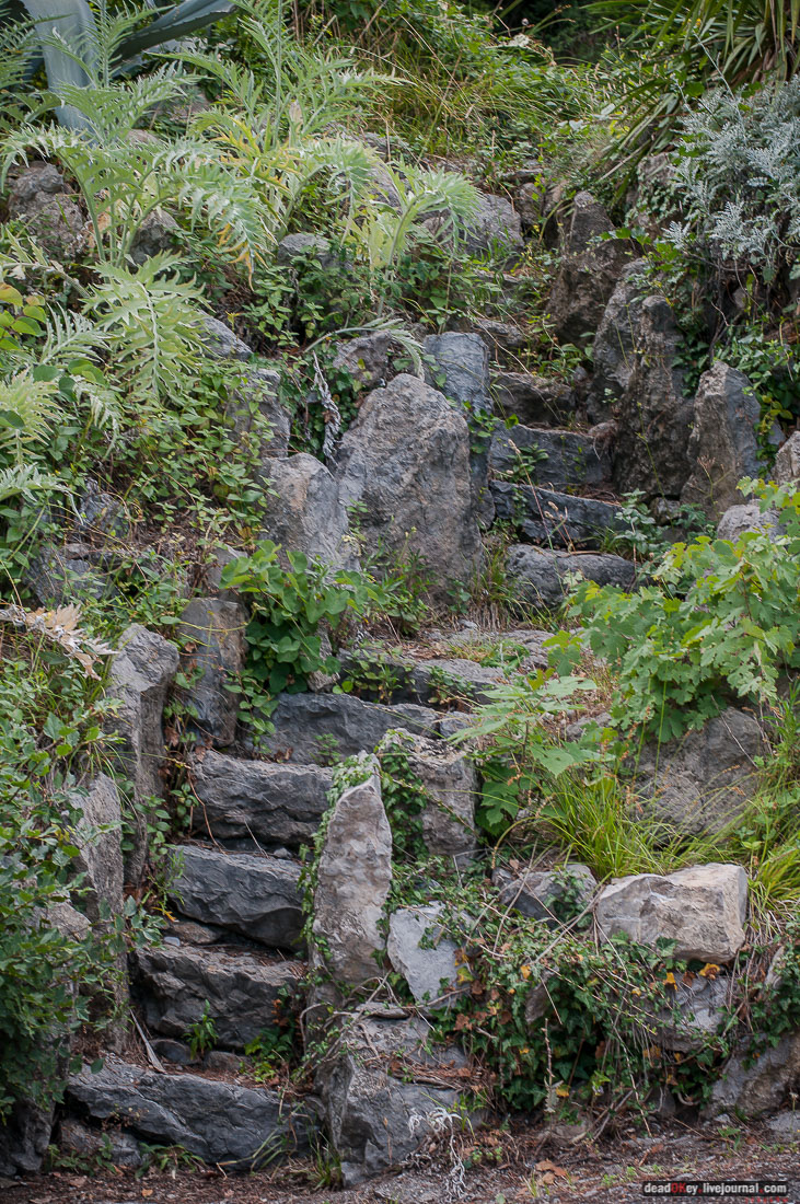 P2WlxyVijxKhhGpn98deWEMdsf-ah7h0yFmVCaBSlcXe_A6al8i_R0wpFEg4E0x_uVAahSjNdhNKC0EHhFco8kcDhzjWLfqU_VVG