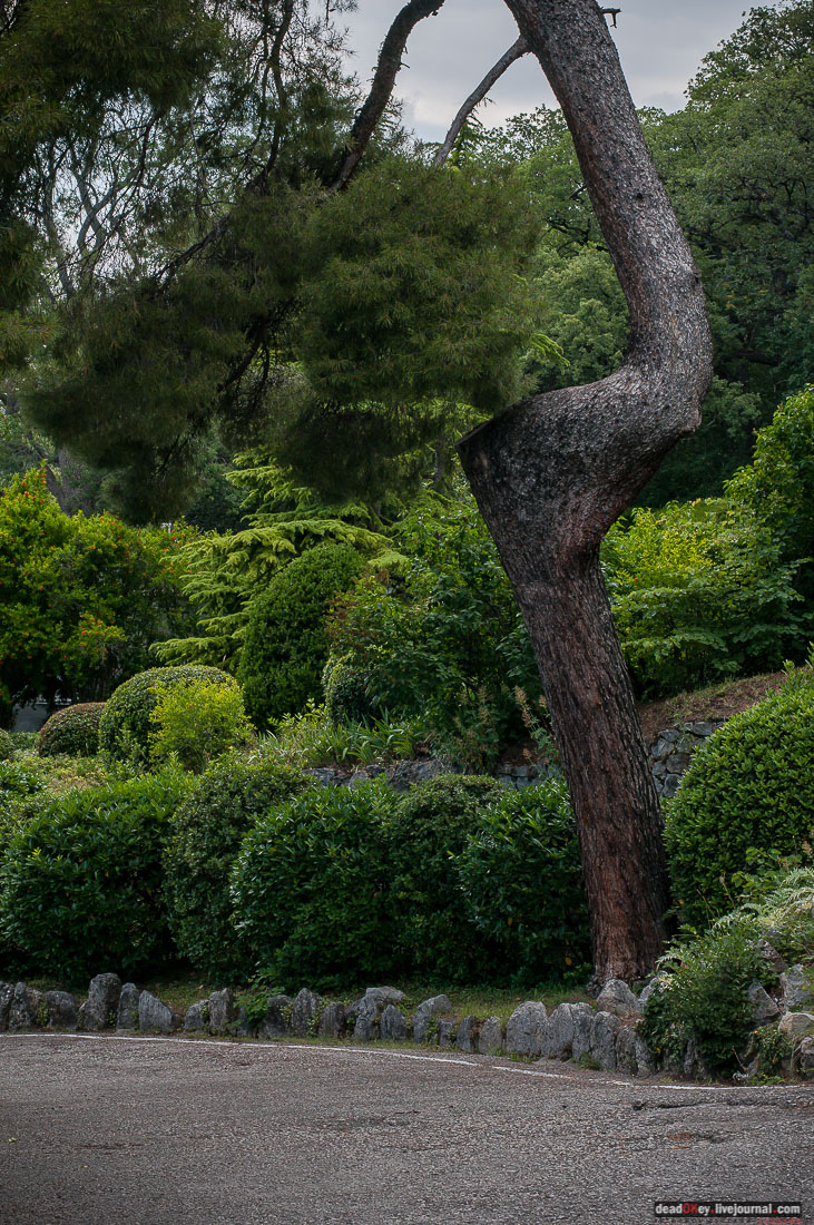 P2WlxyVijxKhhGpn98deWEMdsf-ah7h0yFmVCaBSlcXe_A6al8i_R0wpFEg4E0x_uVAahSjNdhNKC0EHhFco8kcDhzjWLfqU_VVG