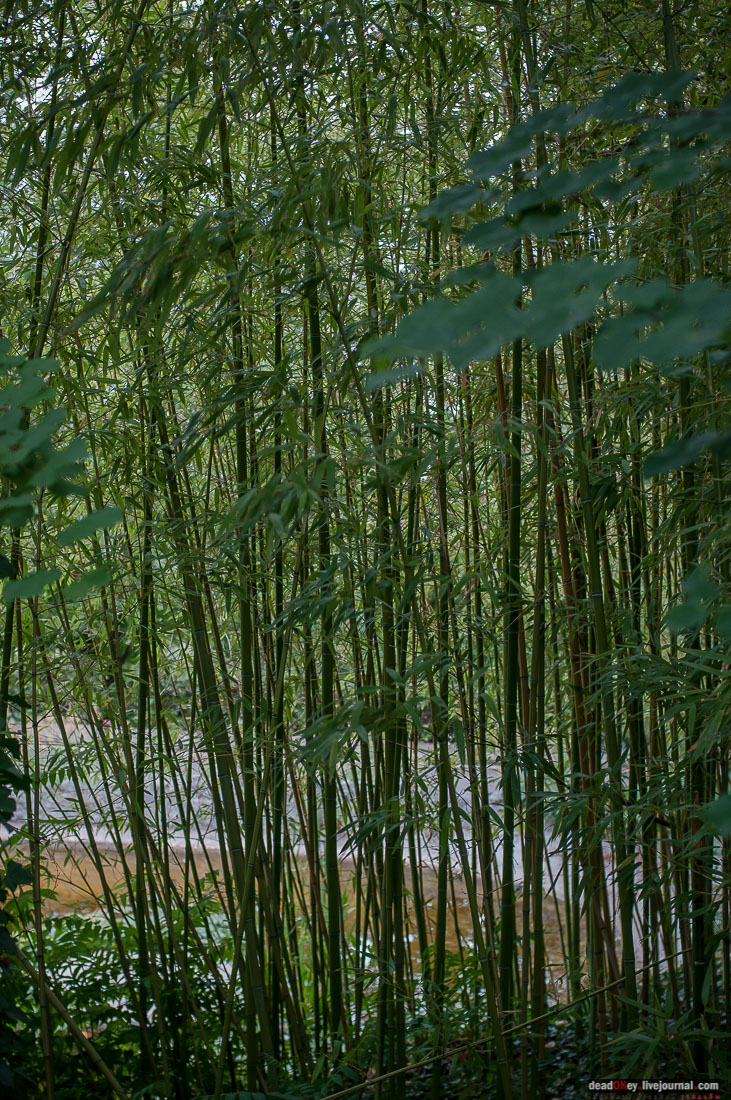 P2WlxyVijxKhhGpn98deWEMdsf-ah7h0yFmVCaBSlcXe_A6al8i_R0wpFEg4E0x_uVAahSjNdhNKC0EHhFco8kcDhzjWLfqU_VVG