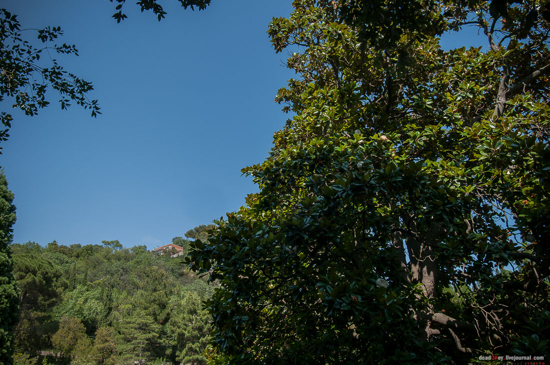 P2WlxyVijxKhhGtv9s9RVEMdsf-ah7h0yFmVCaBSlcXe_A6al8i_R0wpFEg4E0x_uVAahSjNdhNKC0EHhFco8kcDhySAIfyS-Epf