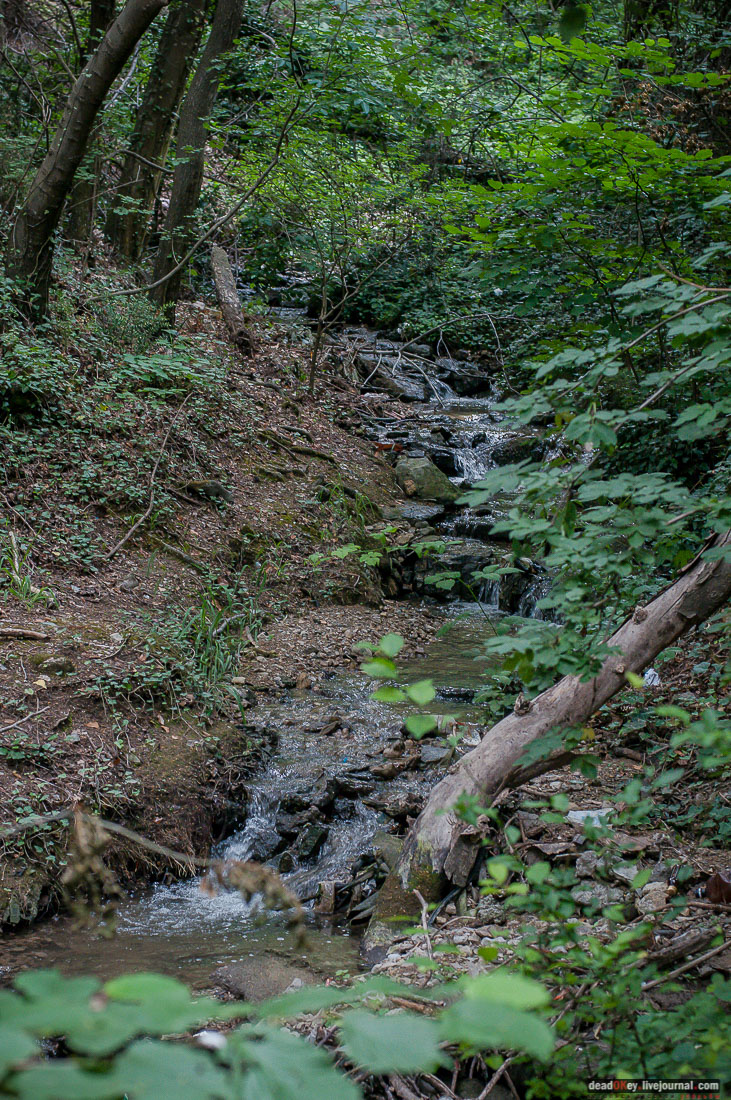 P2WlxyVijxKhhGtv9s9RVEMdsf-ah7h0yFmVCaBSlcXe_A6al8i_R0wpFEg4E0x_uVAahSjNdhNKC0EHhFco8kcDhySAIfyS-Epf